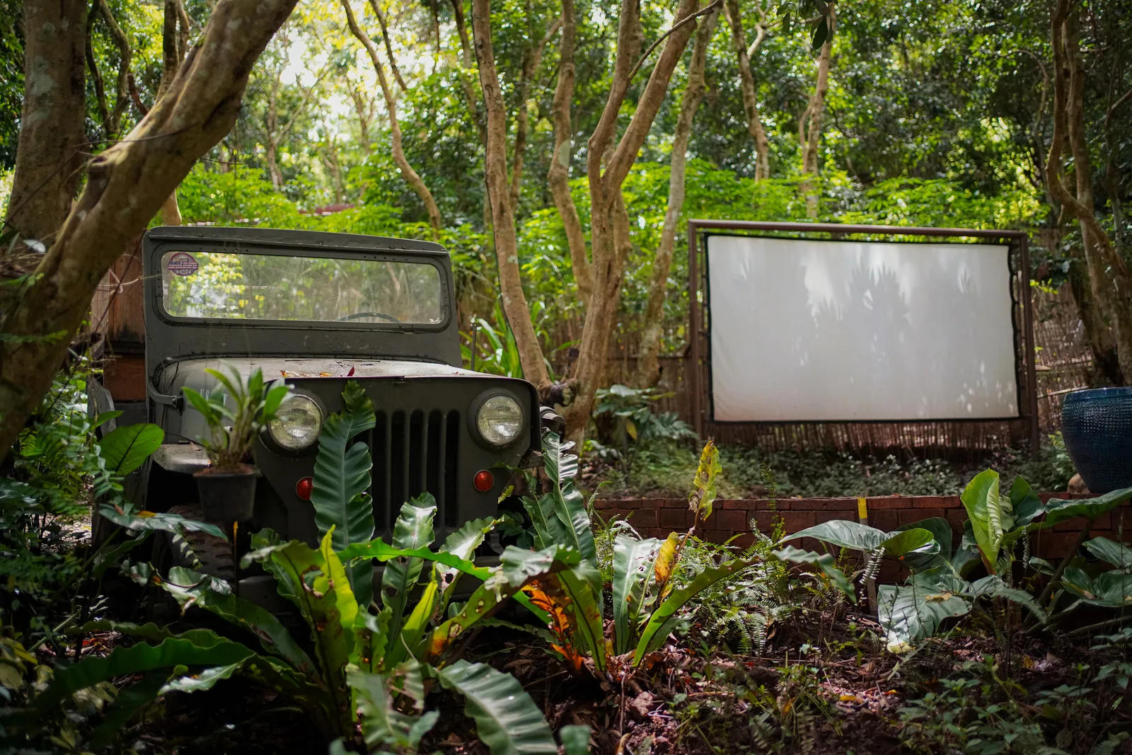 The Ambalama at night, a film lit on the outdoor screen beside the old jeep bar
